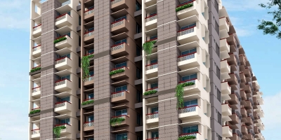 Milestone White Rose